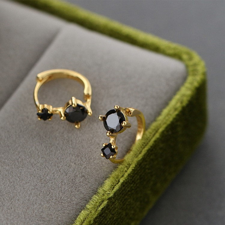 New Special-interest Design Earrings Earrings Women - ZENTRION
